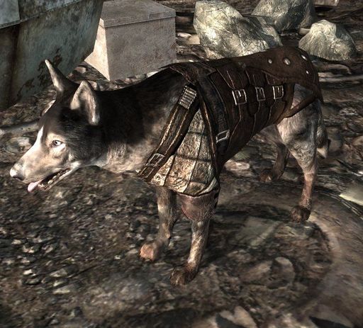 Fallout 3 - Броня для Dogmeat :-)